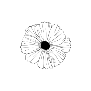 visuels (17)