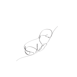 visuels